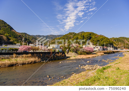 川津市景觀,川津河和天城山脈 川津市景觀,川津河和天城山脈 75090240