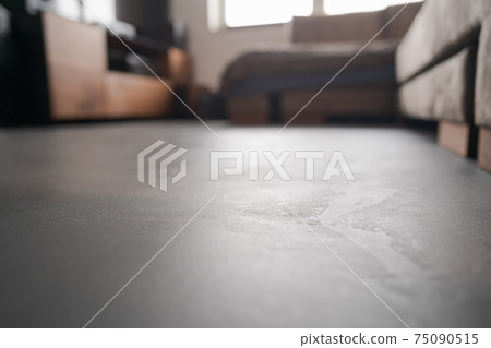Low angle indoor shot of livingroom with closeup focus on floor 75090515