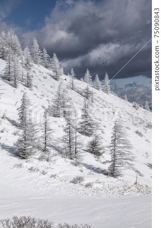 Snow scene along the Utsukushigahara Park offshore line 75090843