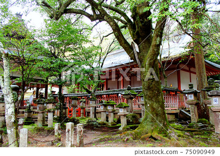 [奈良]田主山八man宮主堂和竹內神社 75090949