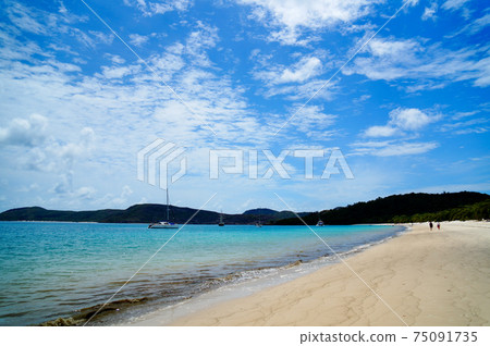 懷特黑文海灘 75091735