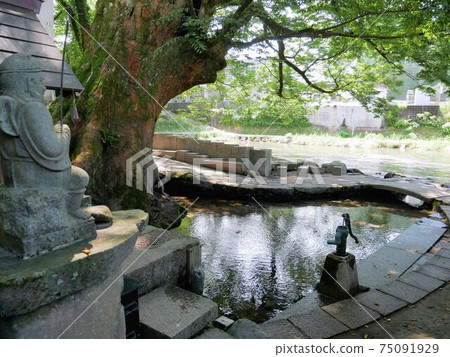 Keyaki water source and Tsuetate River (Oguni Town, Kumamoto Prefecture) 75091929