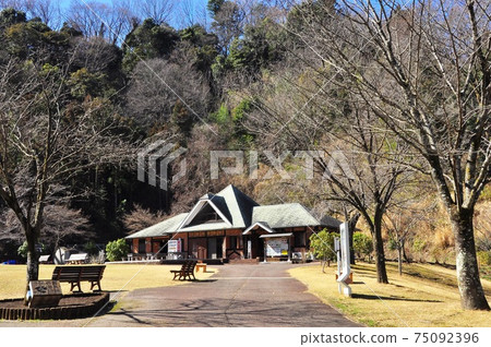 神奈川縣七澤森林公園櫻花園和森林工作室 神奈川縣七澤森林公園櫻花園和森林工作室 75092396
