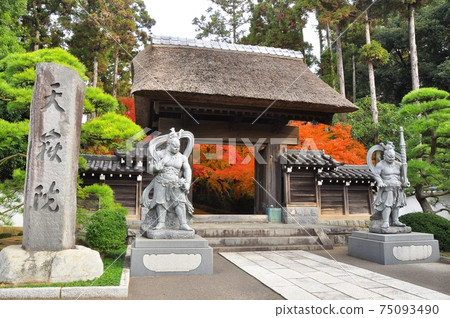 神奈川縣藤澤市正門和通往天國院的入口處的明亮秋葉 75093490