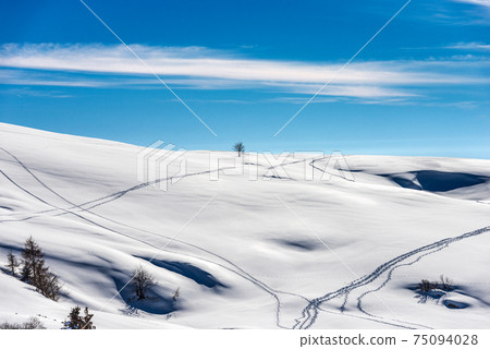 Snowy Winter Landscape of the Lessinia Plateau - Altopiano della Lessinia Veneto Italy 75094028