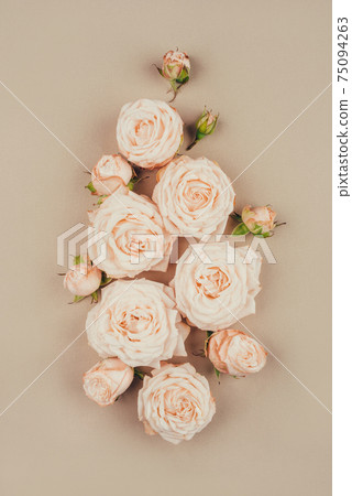 Spring background. Rose flowers on a beige background. Spring background. Rose flowers on a beige background. 75094263