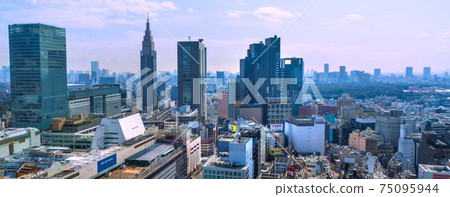 日本JR新宿Miraina塔，新宿高島屋（澀谷區），NTT Docomo Yoyogi大廈，火車等的東京城市景觀。 75095944
