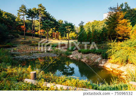 Gwanggyo Central Park at autumn in Suwon, Korea 75096532