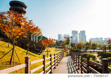 Modern skyscrapers and Gwanggyo Lake Park at autumn in Suwon, Korea Modern skyscrapers and Gwanggyo Lake Park at autumn in Suwon, Korea 75096537