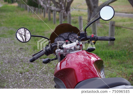 Bike and cherry blossoms Bike and cherry blossoms 75096585