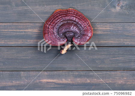 Close up of Ling zhi mushroom on wood table 75096982