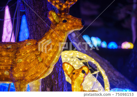 敦賀城堡照明彩色照明 敦賀城堡照明彩色照明 75098153