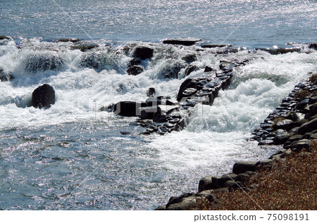 在堰堰的動態水流中看到的唯一且唯一的一種表達形式。...島根縣安來市Iinashi河（晴天） 75098191