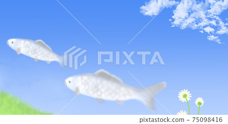 White flowers in the meadow looking up at the cloud fish swimming in the clear blue sky White flowers in the meadow looking up at the cloud fish swimming in the clear blue sky 75098416