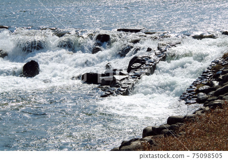 在堰堰的動態水流中看到的唯一且唯一的一種表達形式。...島根縣安來市Iinashi河(晴天) 在堰堰的動態水流中看到的唯一且唯一的一種表達形式。...島根縣安來市Iinashi河(晴天) 75098505