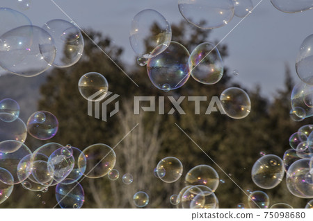 肥皂泡2021 75098680
