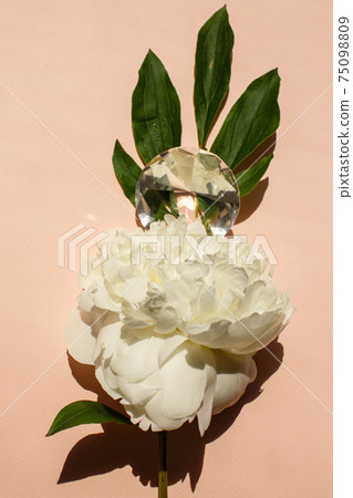 Close-up of white peony flower with shining diamond, beauty femininity Close-up of white peony flower with shining diamond, beauty femininity 75098809