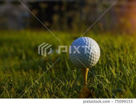 golf ball on tee in a beautiful golf course with morning sunshine. golf ball on tee in a beautiful golf course with morning sunshine. 75099153