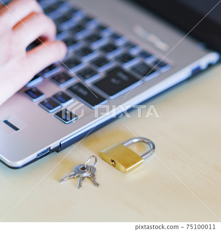 Laptop key [security image] 75100011
