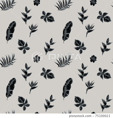 Seamless pattern with hand drawn stylized monstera, banana palm leaves, strelitzia, heliconia 75100021