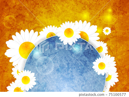 Colorful grunge summer background with camomiles 75100577