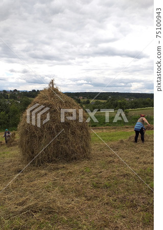 Haymaking season in Ukrainian Carpathian villages, women work in the field, throwing and raking hay by hand in the field. Haymaking season in Ukrainian Carpathian villages, women work in the field, throwing and raking hay by hand in the field. 75100943