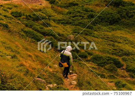 One tourist on the background of the Carpathian mountains, relaxation and enjoyment of nature and solitude. 75100967