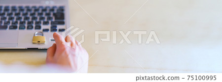 Fingerprint authentication biometric authentication login [security image] 75100995