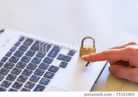 Fingerprint authentication biometric authentication login [security image] 75101005