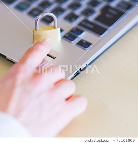 Fingerprint authentication biometric authentication login [security image] 75101009