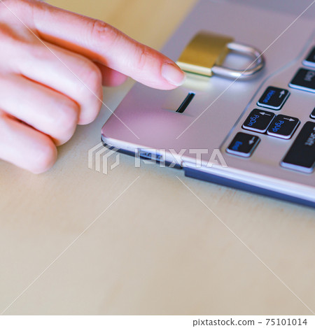 Fingerprint authentication biometric authentication login [security image] 75101014