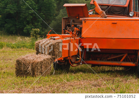 Old red tractor in the field, Ukrainian fields and old machinery, hay harvesting in the field. 75101052