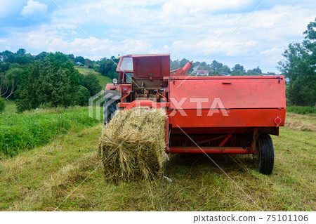 Pressing hay into bales, old working press, harvesting and harvesting dry fodder. Pressing hay into bales, old working press, harvesting and harvesting dry fodder. 75101106