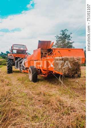 Old bale press, hay harvesting in the village for cattle, press work close up. Old bale press, hay harvesting in the village for cattle, press work close up. 75101107