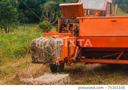 Old bale press, hay harvesting in the village for cattle, press work close up. 75101108