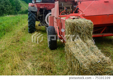 Old bale press, hay harvesting in the village for cattle, press work close up. Old bale press, hay harvesting in the village for cattle, press work close up. 75101109