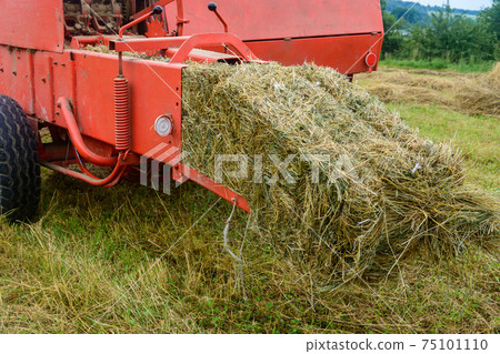 Old bale press, hay harvesting in the village for cattle, press work close up. Old bale press, hay harvesting in the village for cattle, press work close up. 75101110