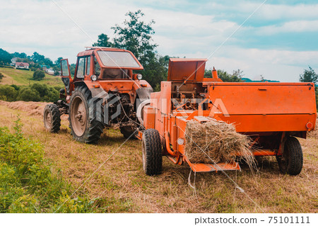 The process of harvesting hay for cattle, a tractor making bales in the field, old machinery. The process of harvesting hay for cattle, a tractor making bales in the field, old machinery. 75101111