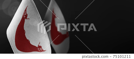 Small national flags of the Easter Island on a dark background 75101211