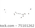 Flocks of flying pigeons isolated on white background. Clipping path. 75101262