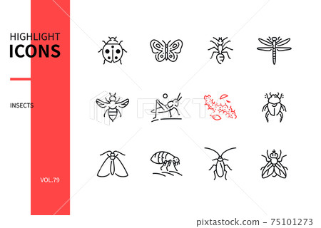 Insects collection - modern line design style icons set 75101273