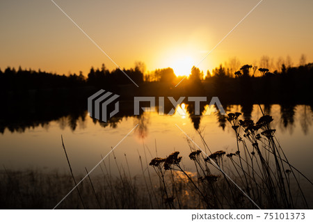 Beautiful sunset on river Kymijoki at winter, Finland. 75101373