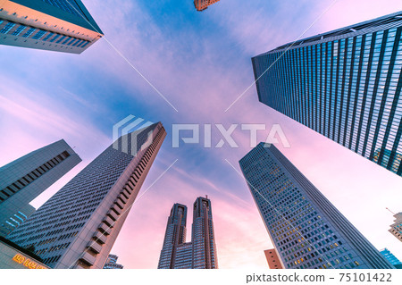 日本的東京城市景觀,俯瞰新宿子中心的摩天大樓 日本的東京城市景觀,俯瞰新宿子中心的摩天大樓 75101422