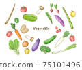 Set of various green and yellow vegetables 75101496