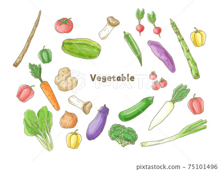 Set of various green and yellow vegetables Set of various green and yellow vegetables 75101496