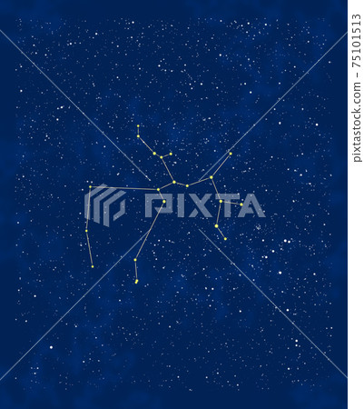 Summer constellations: Sagittarius and surrounding stars 75101513