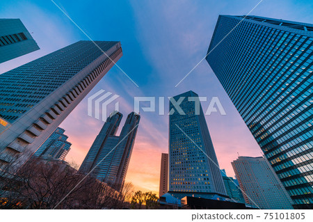 日本,新宿子中心的東京都市風景。夕陽下閃耀的東京都政府大廈的景色 日本,新宿子中心的東京都市風景。夕陽下閃耀的東京都政府大廈的景色 75101805