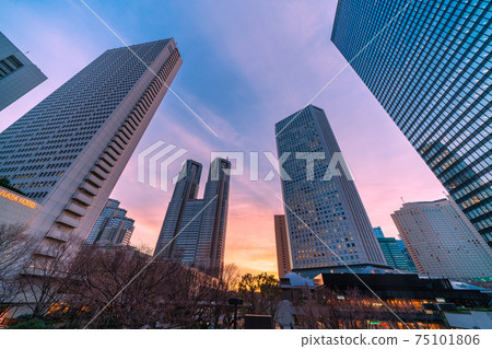 Tokyo cityscape of Japan, Shinjuku subcenter. View of the Tokyo Metropolitan Government Building that shines in the sunset Tokyo cityscape of Japan, Shinjuku subcenter. View of the Tokyo Metropolitan Government Building that shines in the sunset 75101806