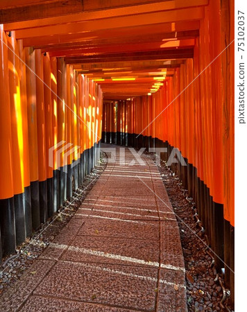 Fushimi-Inari Taisha Fushimi-Inari Taisha 75102037