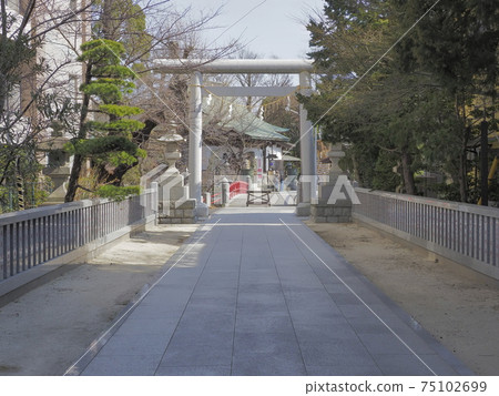 千葉縣松戶市松堂神社 千葉縣松戶市松堂神社 75102699